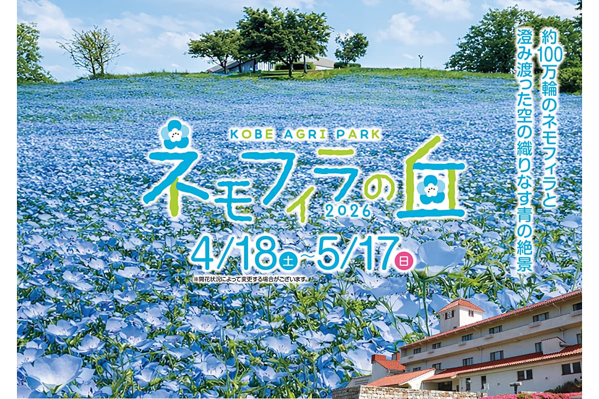 こうべアグリパークネモフィラの丘