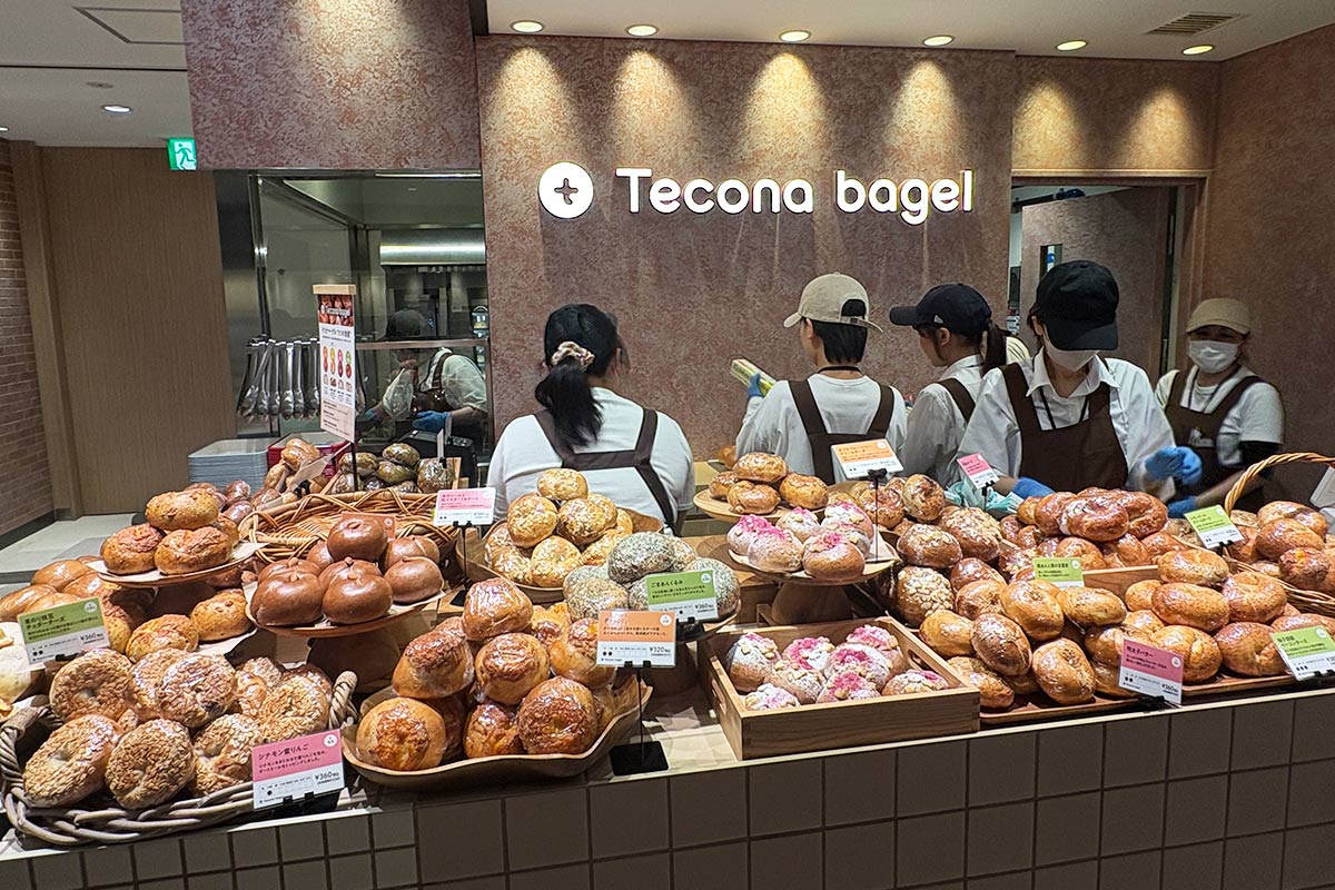 テコナベーグルの外観