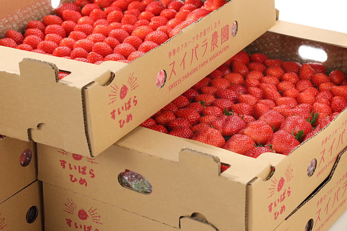 スイパラ農園のいちご