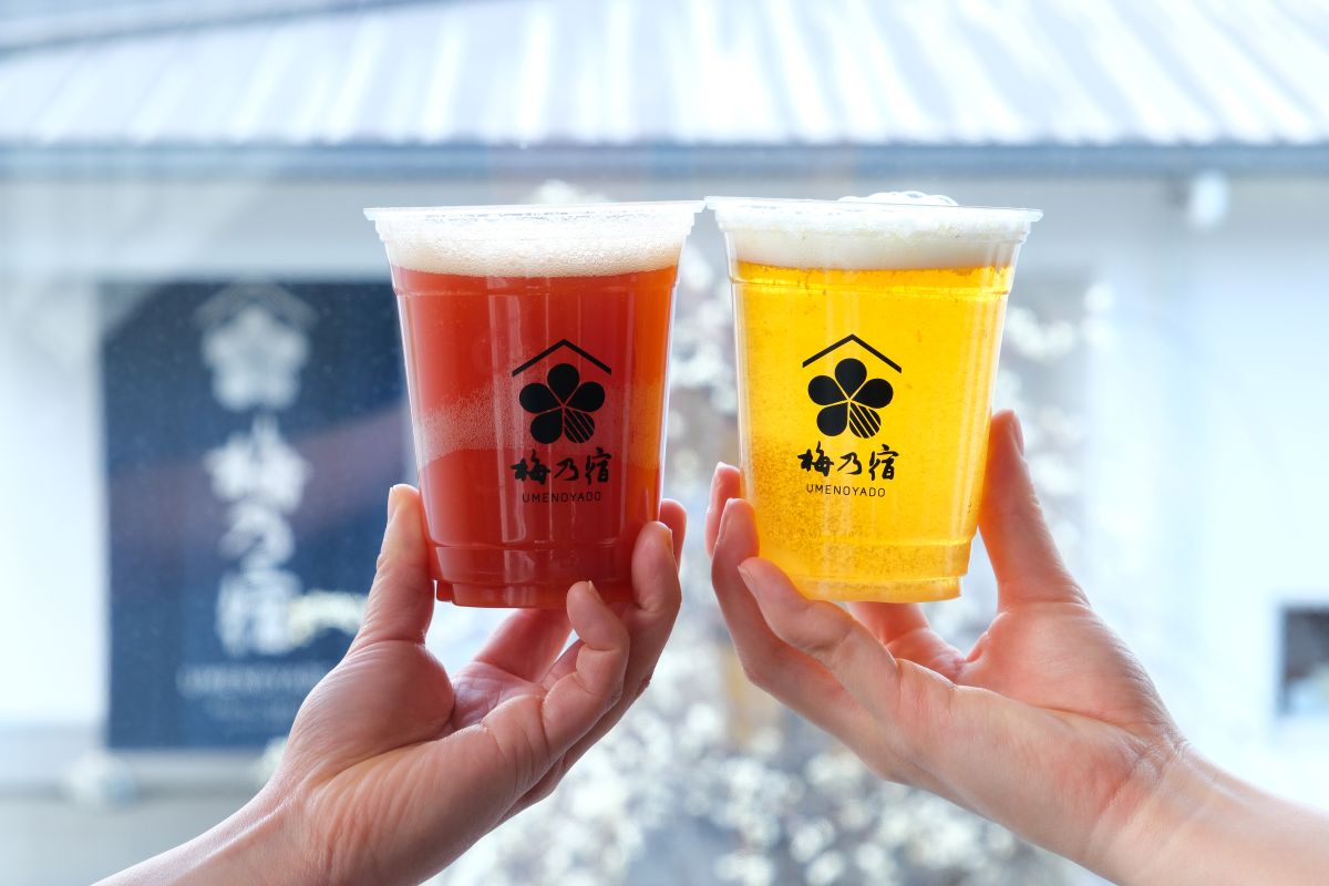 2日間限定！奈良「梅乃宿酒造」で限定酒飲み比べ＆グルメも楽しめる蔵開き
