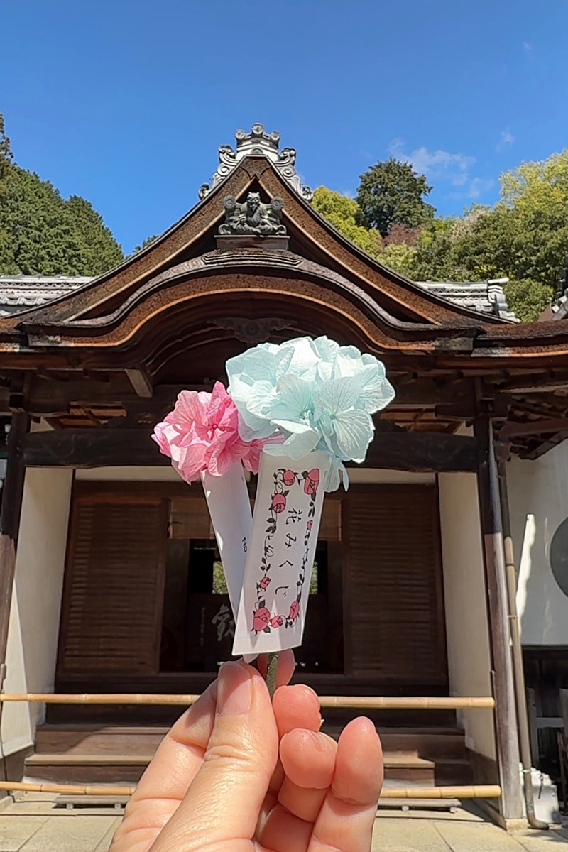 花みくじ
