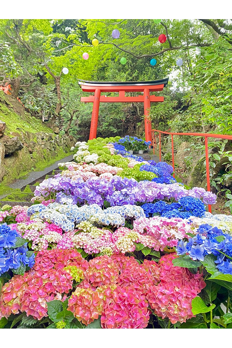 眼力稲荷前の花階段