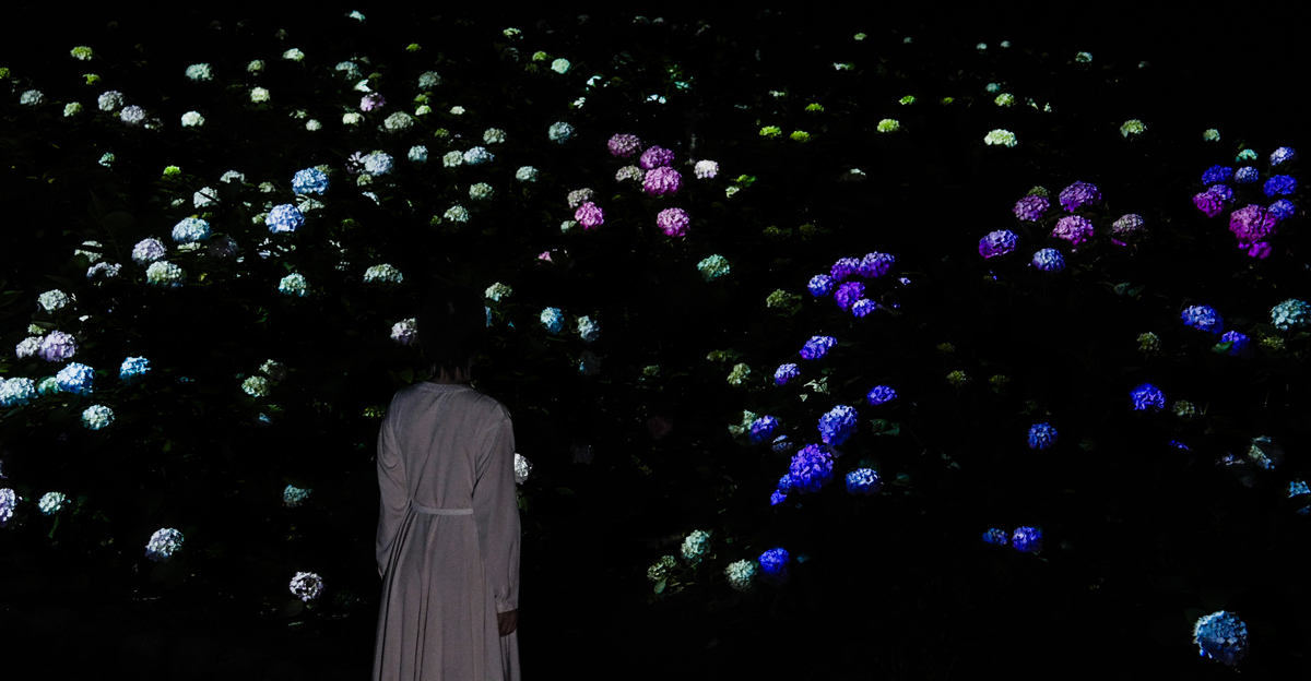 紫陽花の結晶を観る女性