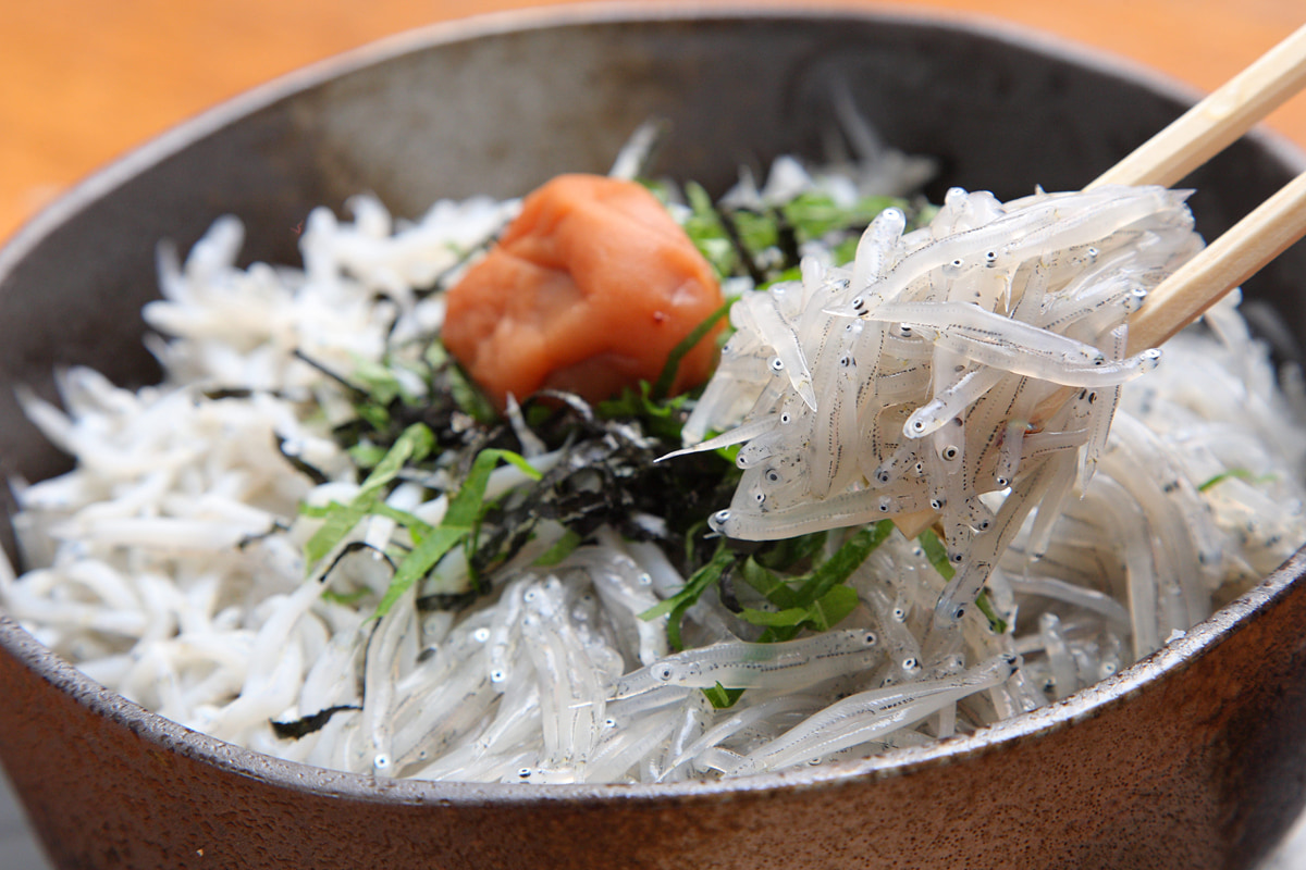 生しらす丼