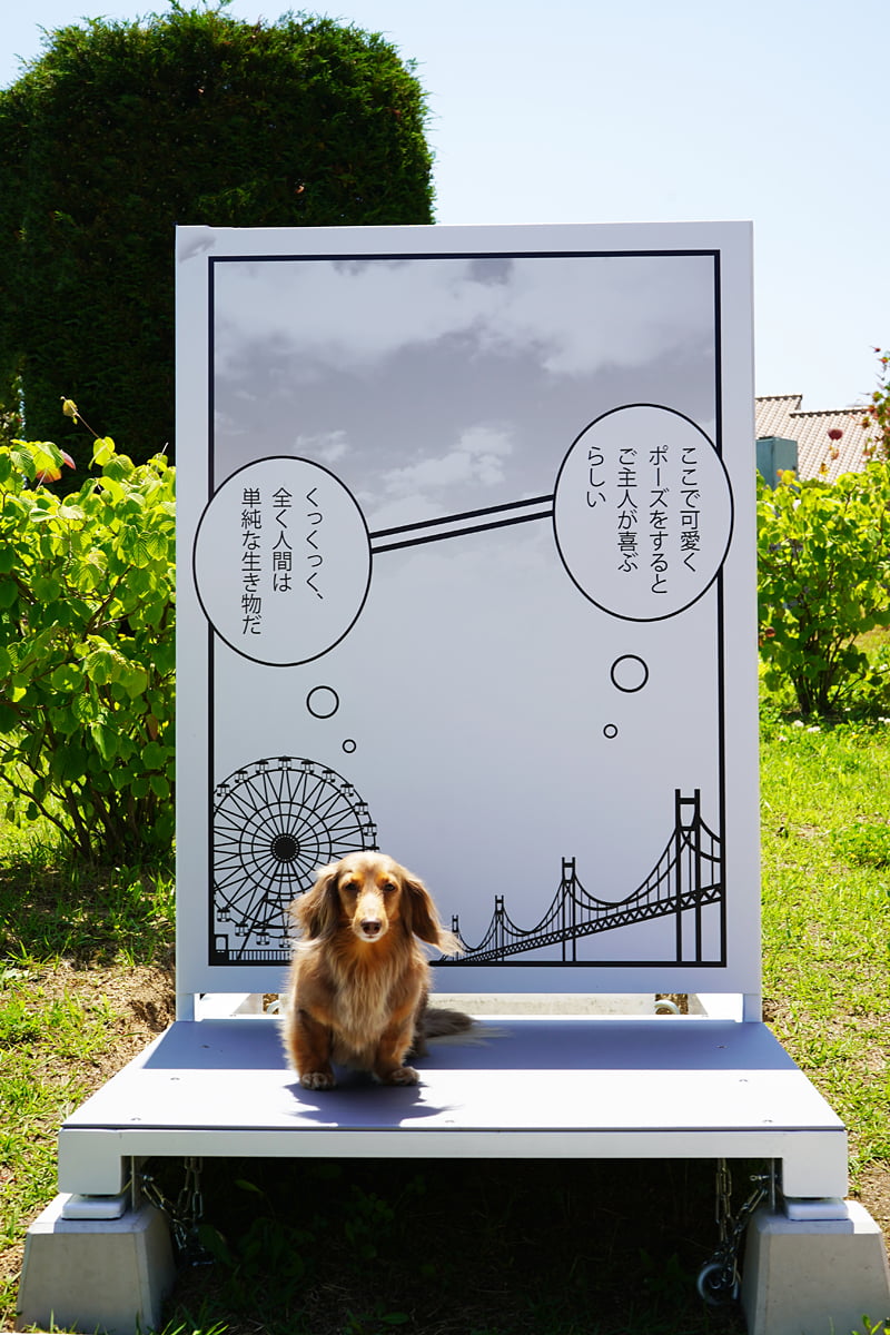 カトゥーン看板のフォトスポット