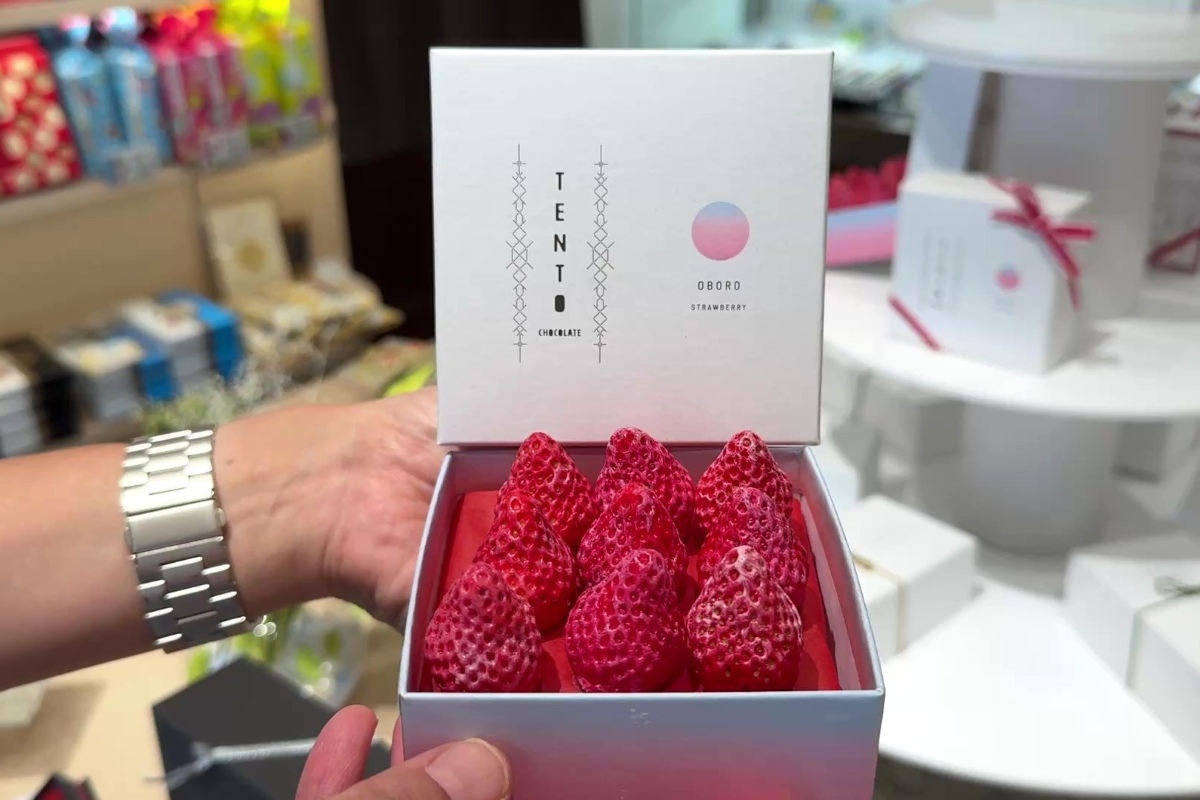 TENTO chocolate 日光本店のいちごチョコスイーツ