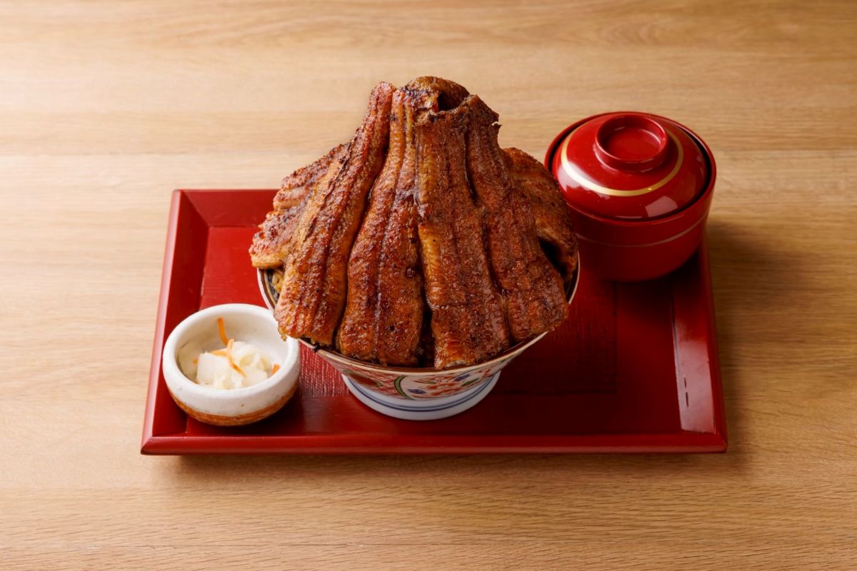 富士マウンテン鰻丼