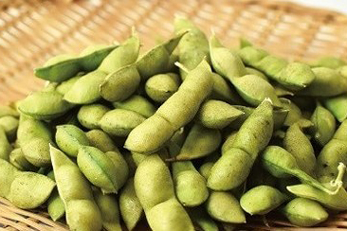 黒大豆枝豆