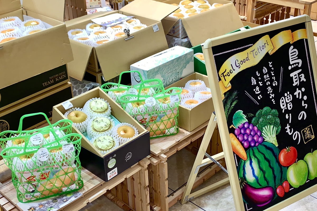 梨やシャインマスカットも！大阪・中之島で「鳥取ときめきマルシェ」開催