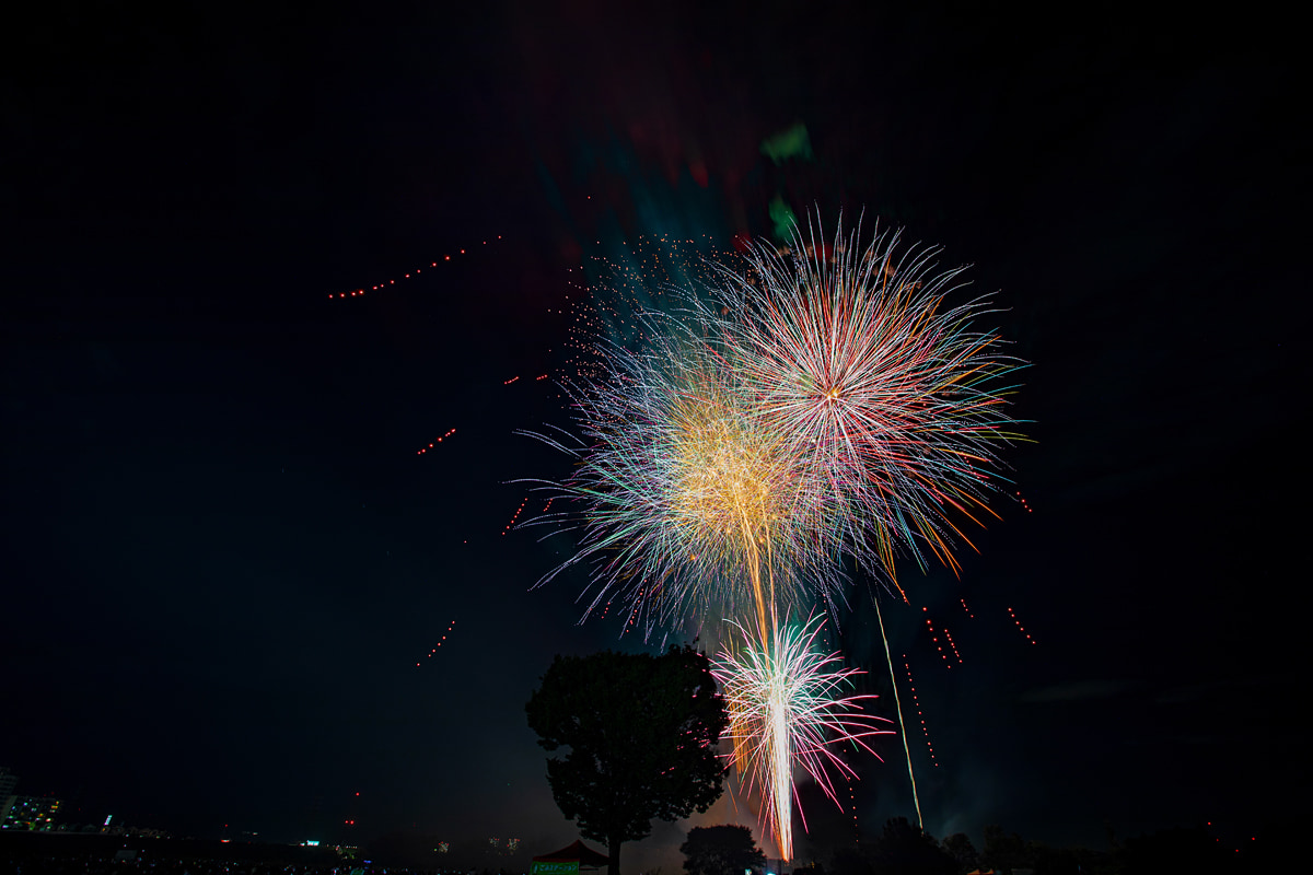 水都くらわんか花火大会の花火