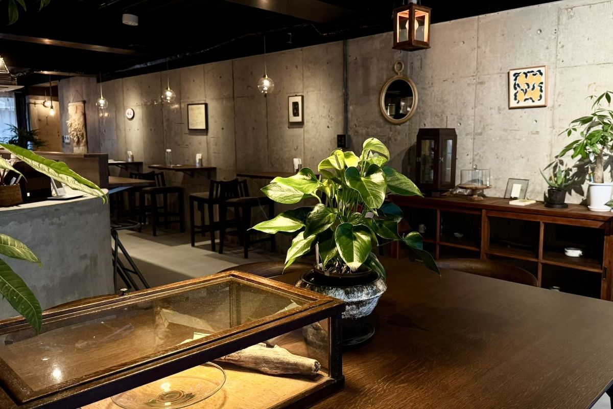 発酵キッチントゥーランドの店内