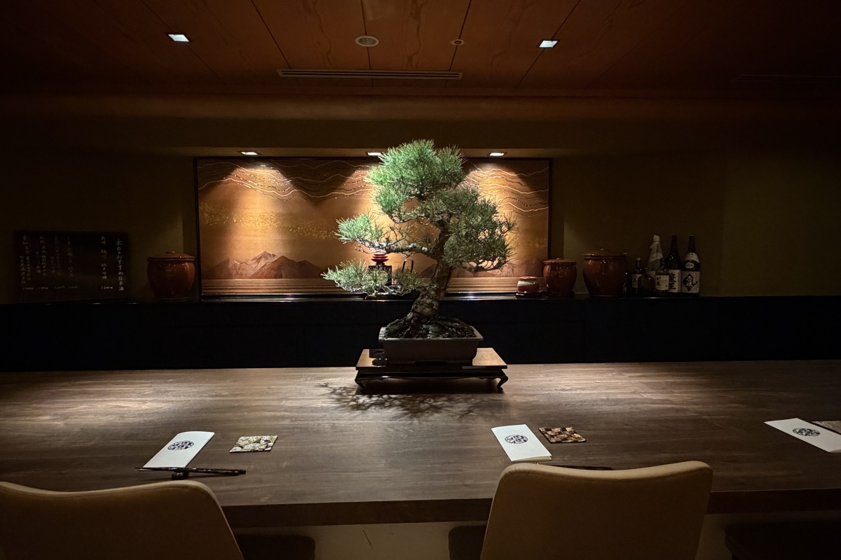 中央に松の盆栽が飾られた「酒酒」のカウンター
