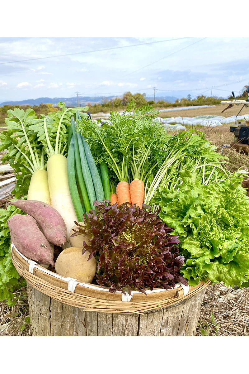 ウメキキマルシェの野菜