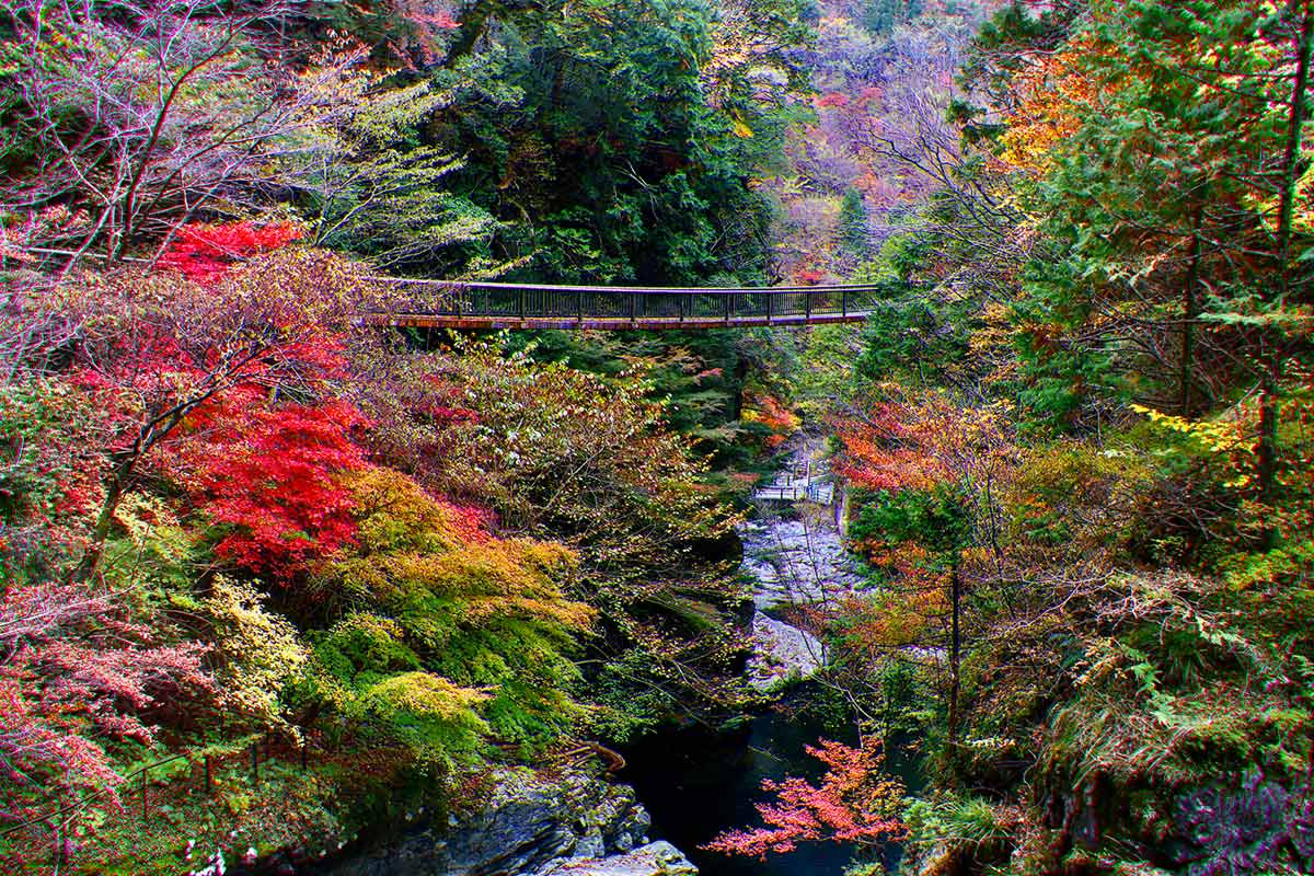 みたらい渓谷の紅葉