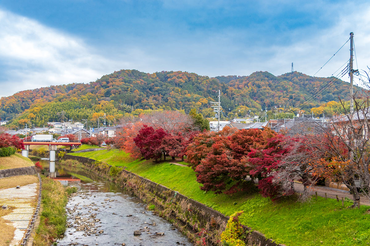 竜田公園の紅葉