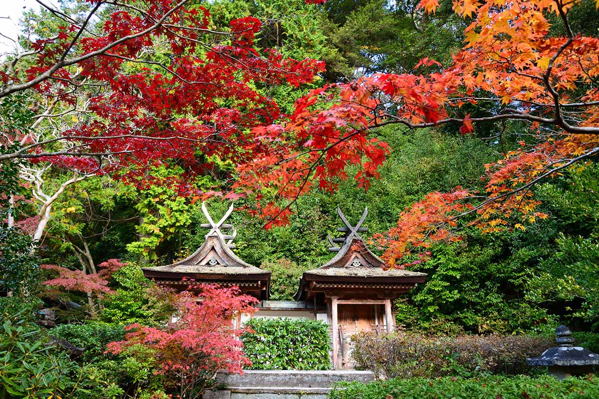 円成寺の紅葉